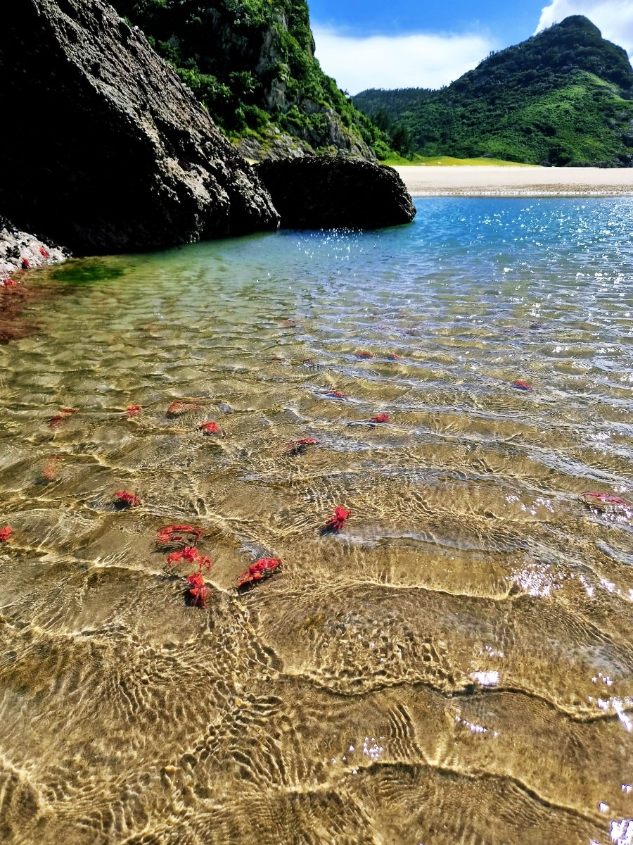 천사섬 사진 4