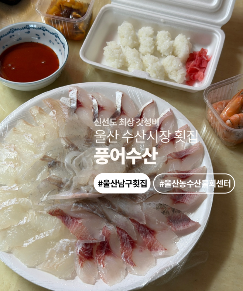 울산 수산시장 횟집 풍어수산 / 울산 농수산물 회센터 갓성비 맛집