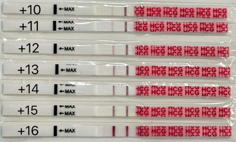 화학적 유산 후 다시 임신! 배란 9일차 임테기 두줄, 배란 15일차 역전 후기