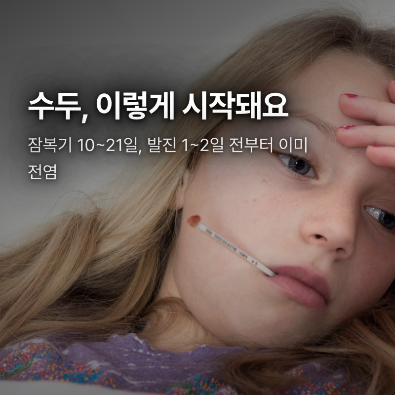 수두 초기증상 언제부터일까, 원인·전염 시기·격리기간 정리
