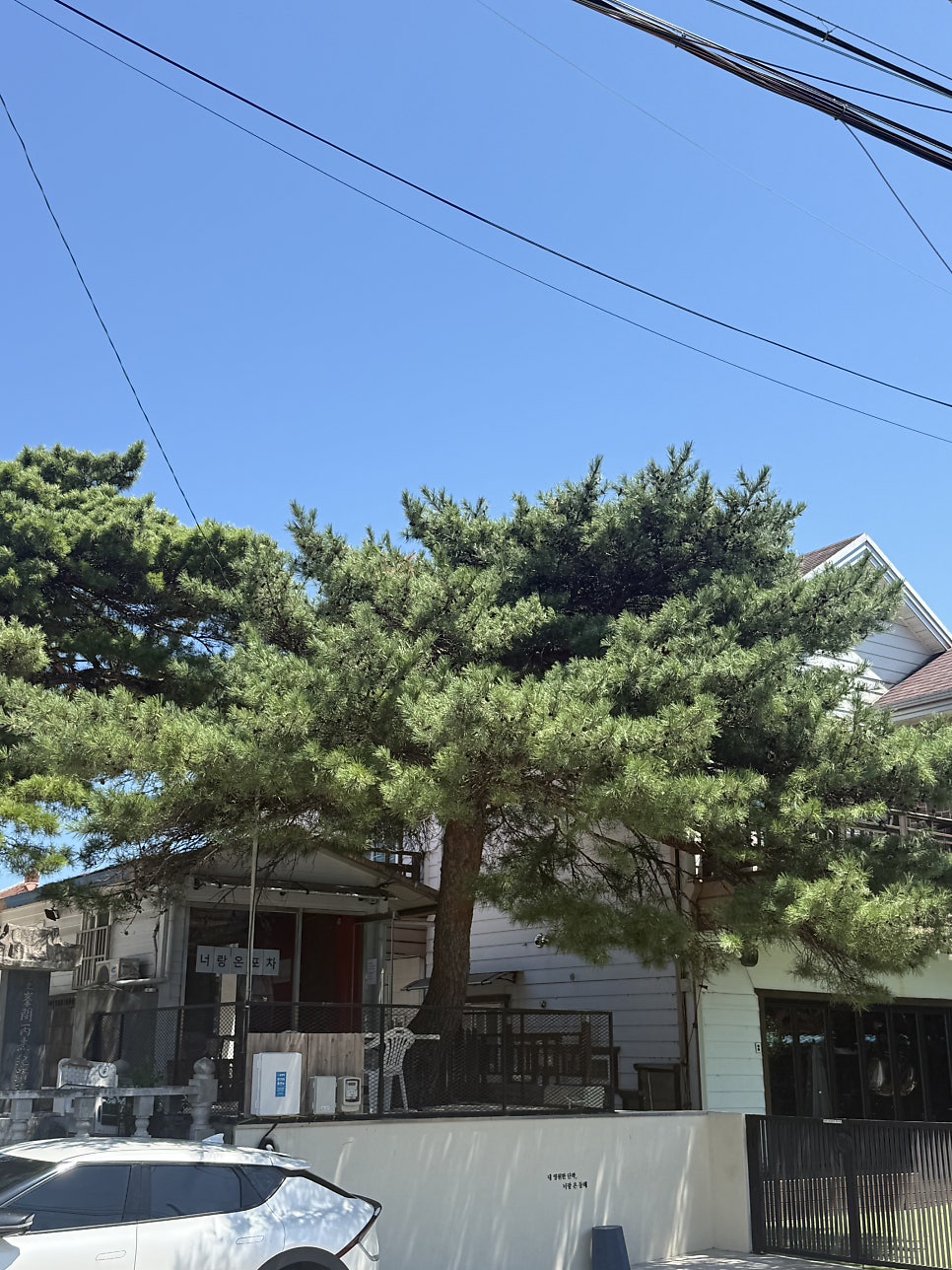 망상해변 사진 6