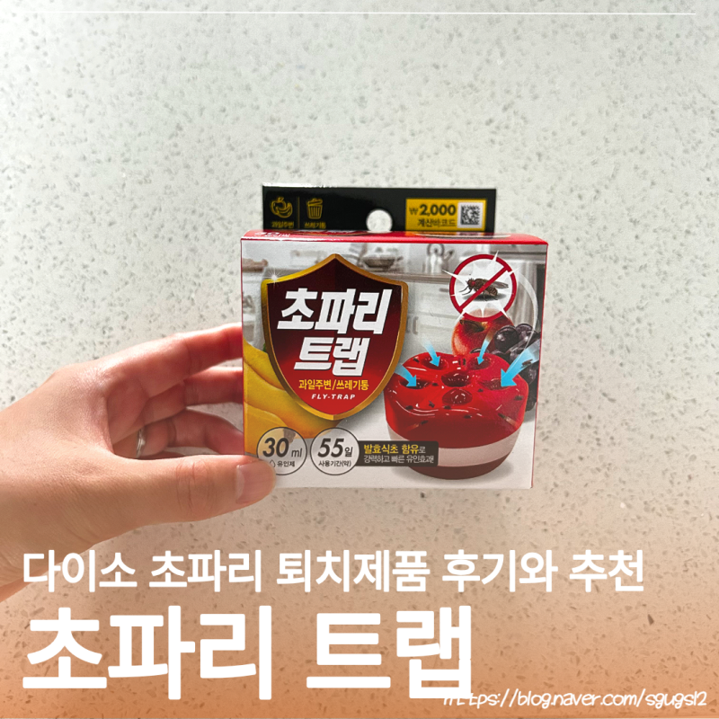 다이소 초파리 트랩 후기와 추천하는 제품도 가져왔어요