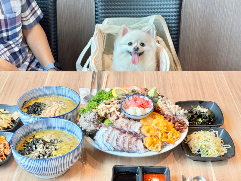 제주공항 근처 애견동반식당 추천 도두동 무지개해안도로 맛집 해선담