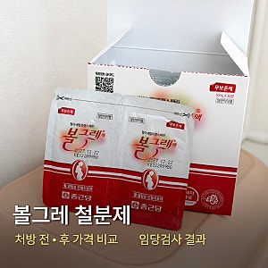 동탄제일병원 임당검사 결과｜볼그레 철분제 처방 전·후 가격 비교