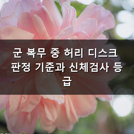 허리 디스크 군대 갈 수 있을까 면제 기준부터 신체검사까지