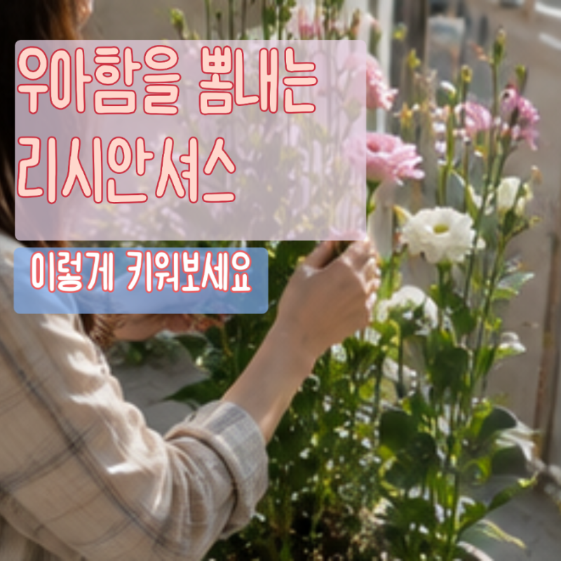 꽃말예쁜꽃 리시안셔스 모종 부터 키우기