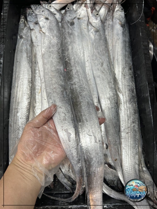 하의수산 사진 5