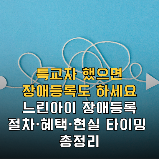 발달장애 장애 등록, 특교자 등록과 뭐가 다를까? 혜택·절차·시작 시기 선배맘 완전 정리