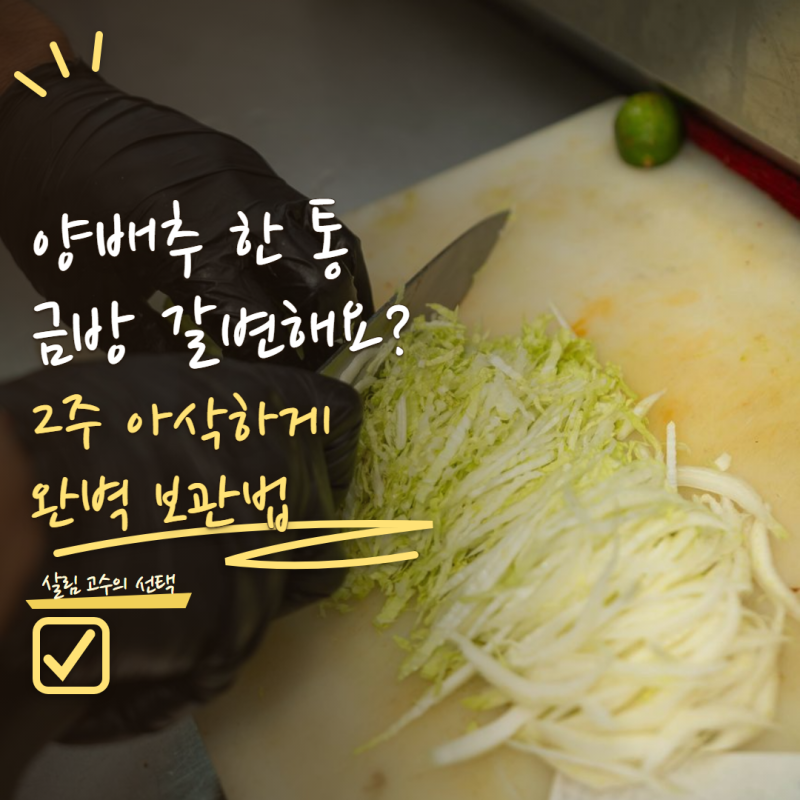 양배추 한 통 금방 갈변한다면? 2주 동안 아삭하게 보관하는 법