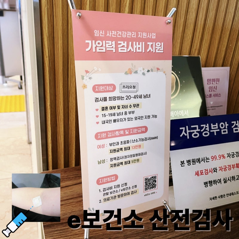 e보건소 산전검사 결과 청구 방법 실제 비용 후기