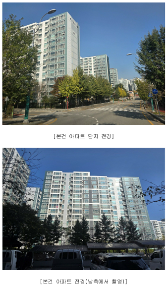죽림 사진 6