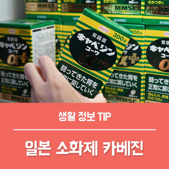 일본 소화제 카베진 복용법 성분 부작용 솔직 후기
