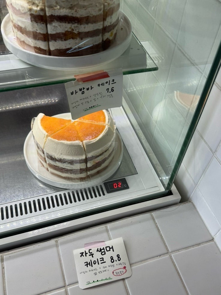 오후 사진 5