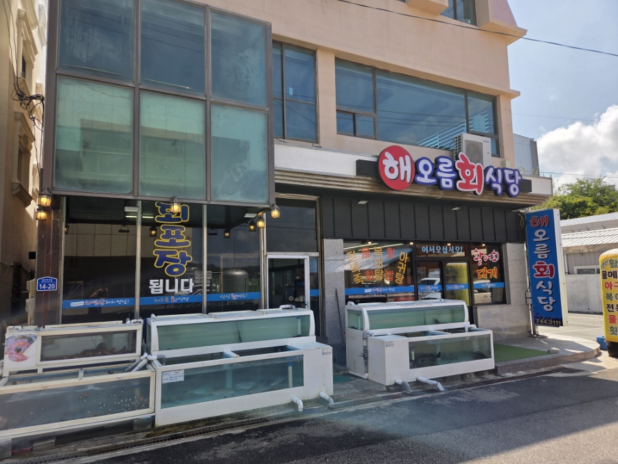 감포횟집 사진 6