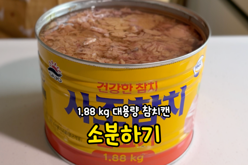 1.88kg 대용량 참치캔 보관법, 기름 쏙 빼고 깔끔하게 소분하기 (feat. 식비절약)