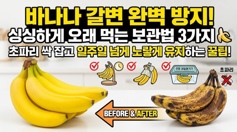 [정보/꿀팁] 바나나 싱싱함 2배 유지! 갈변 막는 보관 방법 3가지 (냉장 보관 꿀팁)