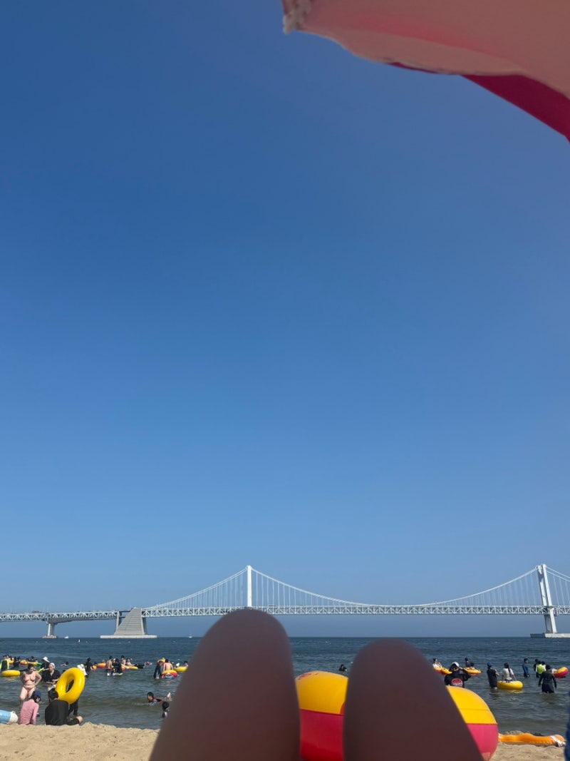 광안리 해수욕 ••시간 물놀이 정보 all 튜브 파라솔 대여 샤워 〰️