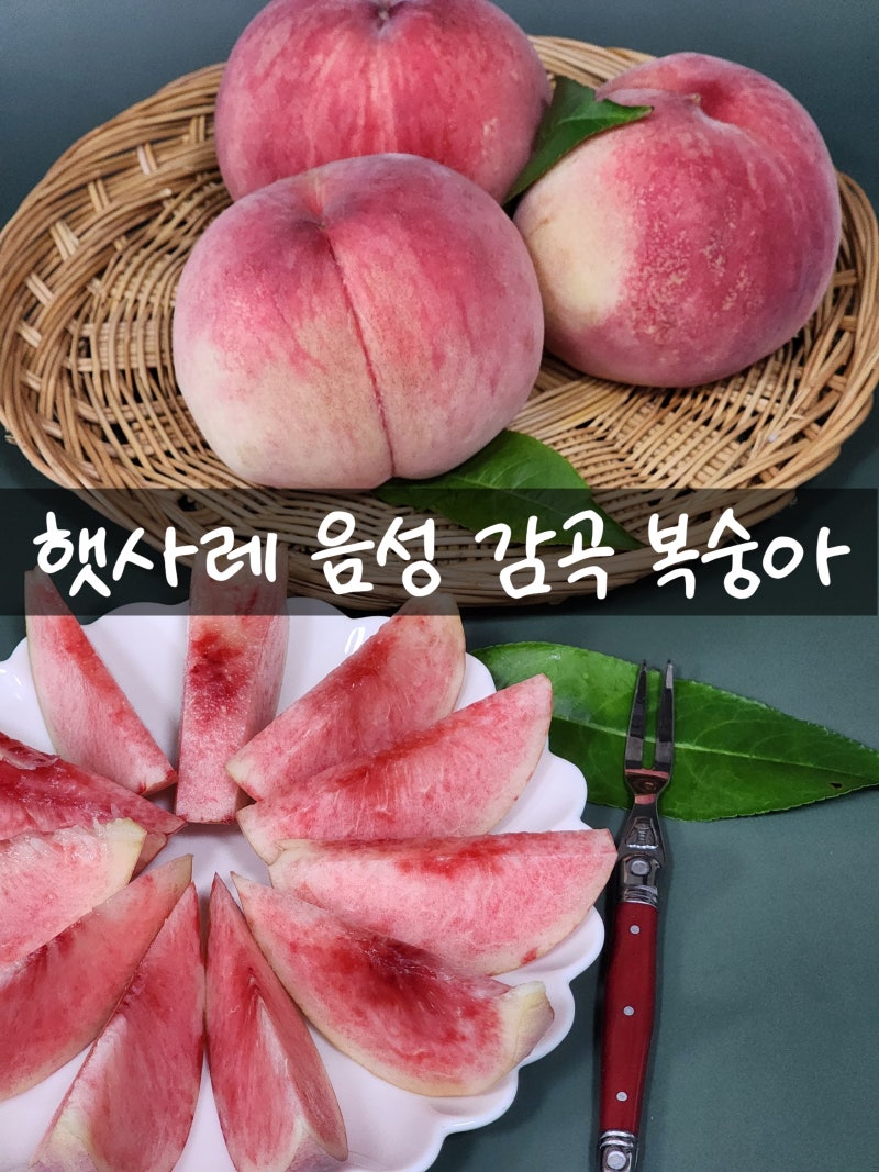 햇사레 음성감곡 복숭아 창성농원 마도카, 달콤한 과즙 가득한 제철 복숭아 후기