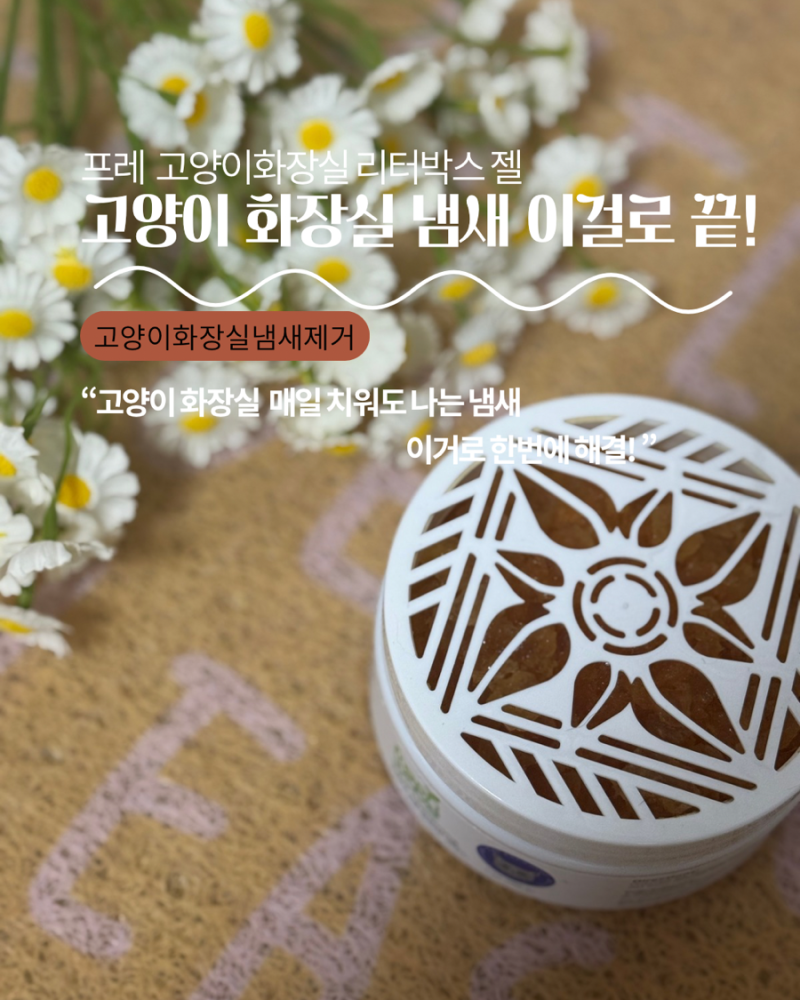 매일 치워도 냄새가 남는 이유… 프레, 고양이화장실냄새제거 전엔 몰랐습니다