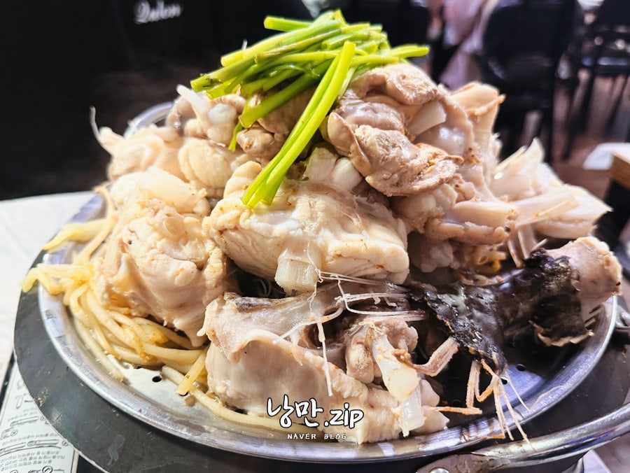 밀레니엄 사진 5