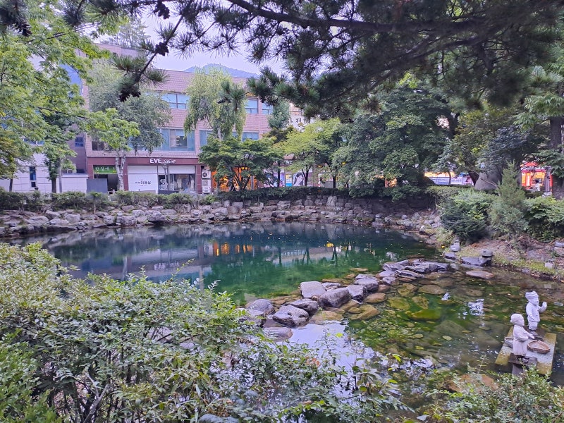태백 당일치기 후기 (뚜벅이 여행, 대중교통, 태백산 등산)