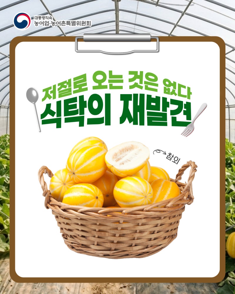 [8월의 식탁] 8월 제철 과일 참외, 겉은 단단한데 속은 완전 예민보스? (참외 보관법 & 참외샐....