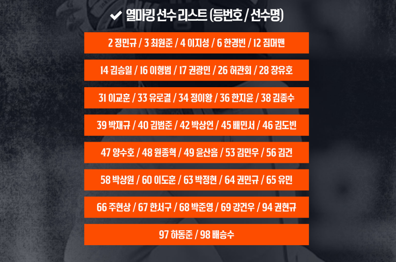 한화이글스 팬이라면 놓칠 수 없는 마킹키트 사전 예약 소식