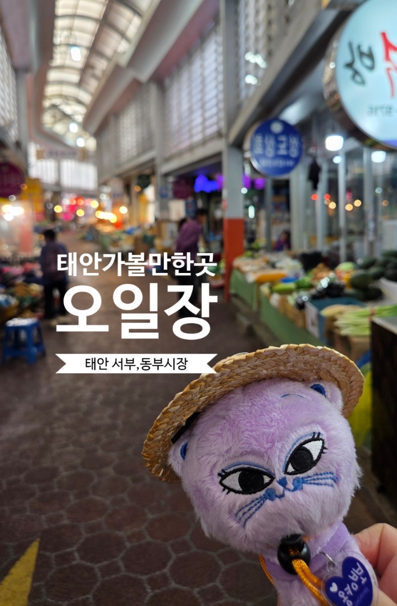 태안 가볼만한곳 오일장 서부시장 동부시장 먹거리 맛집 추천 위치 장날정보 총정리