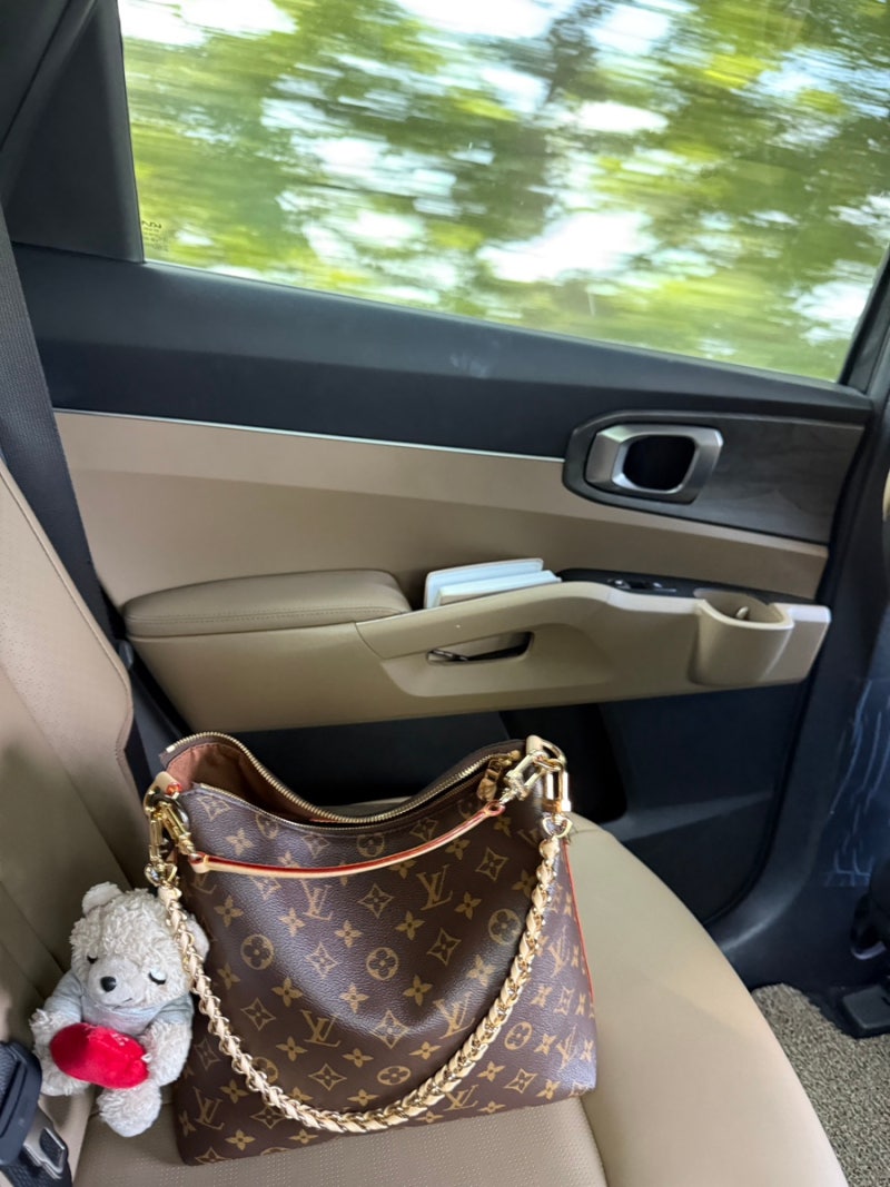 Louis Vuitton Multipass 루이비통 멀티패스 :  classic, modern and versatile 클래식하고 모던하면서 활용....