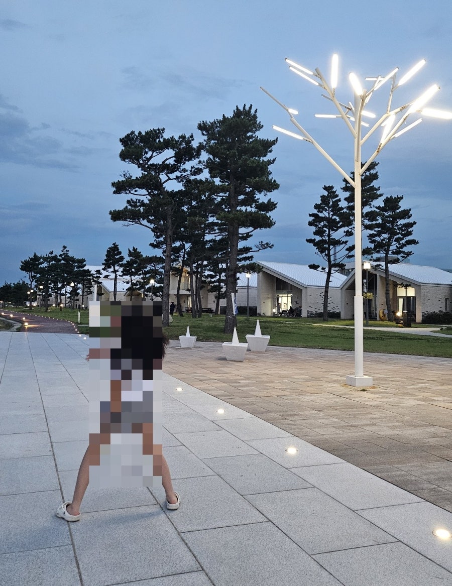 피아노 사진 1