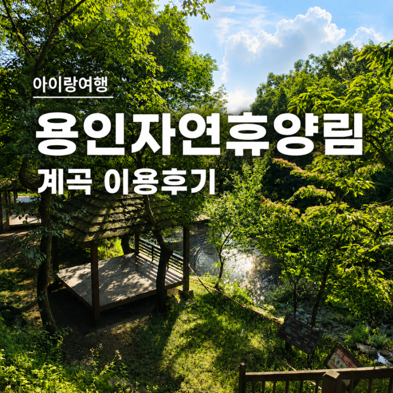[아이와 여행] 용인자연휴양림 계곡 이용후기 (물놀이 가능한 계곡 위치)