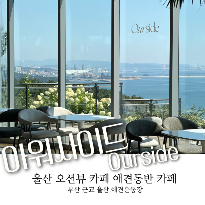 [울산 애견동반 가능 카페/ 애견운동장] 아워사이드