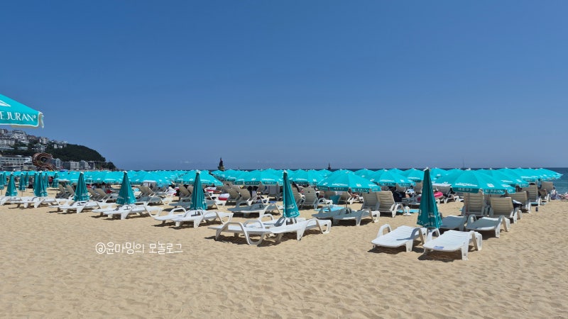 2026 해운대 해수욕장 파라솔 대여 샤워실 탈의실 가격 시간 총정리