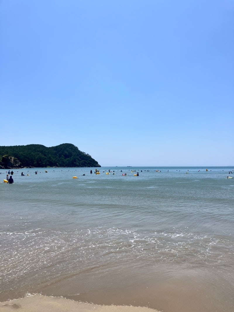 부산 다대포 해수욕장 이용 후기. 주차 및 파라솔 가격 정보. 부산 바다 축제 정보. 근처 맛집....