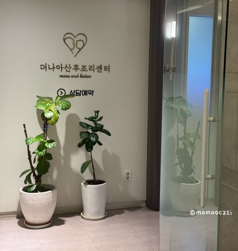 [9주 5일차] 인천 서구 검단사거리, 더나아 산후조리원 예약 (추천)