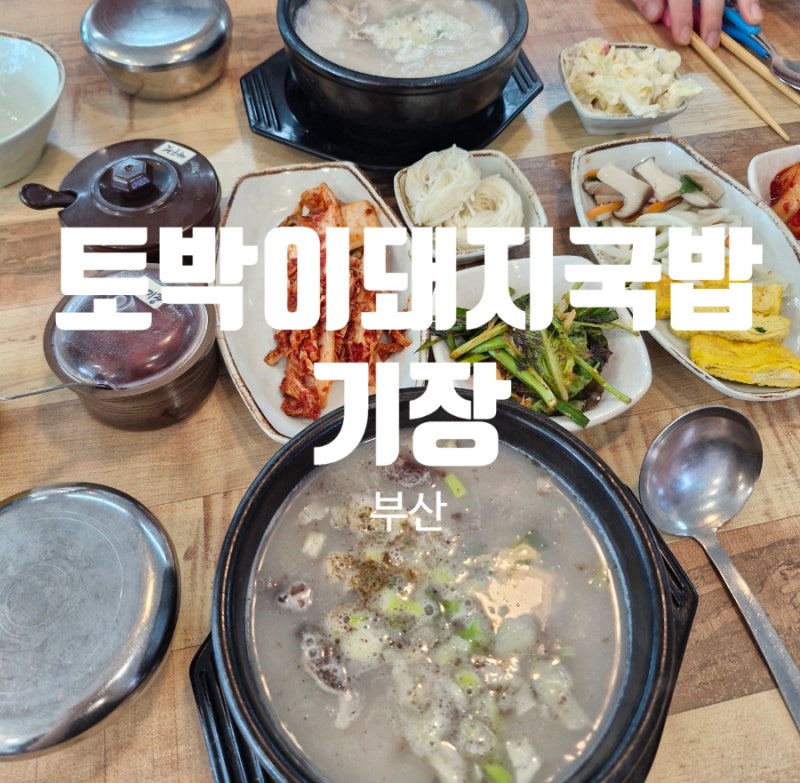 부산 기장 토박이돼지국밥 ㅣ 부산 롯데월드 근처 밥집 ㅣ 기장 반찬 잘나오는 돼지국밥 맛....