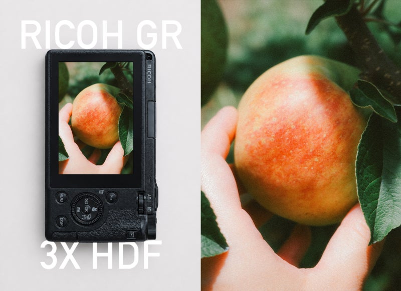 리코 GR3x HDF 작례, 포지티브 필름, 양구 사과밭