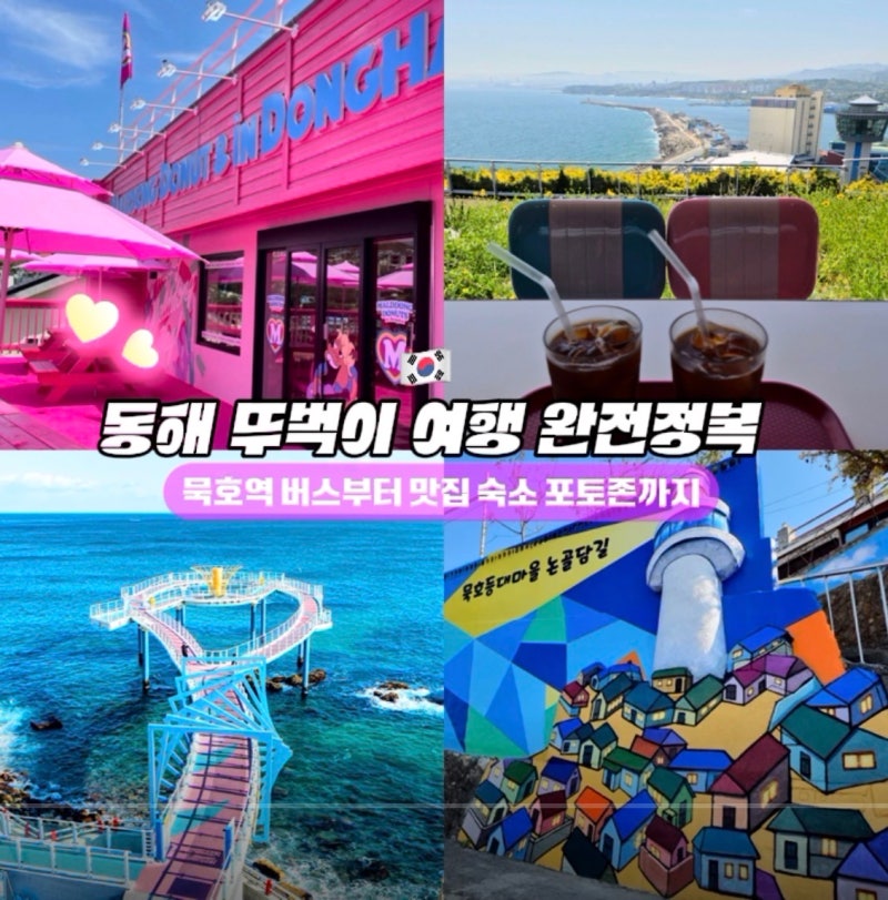동해 뚜벅이 여행 완전정복, 묵호역 버스부터 맛집 숙소 포토존까지