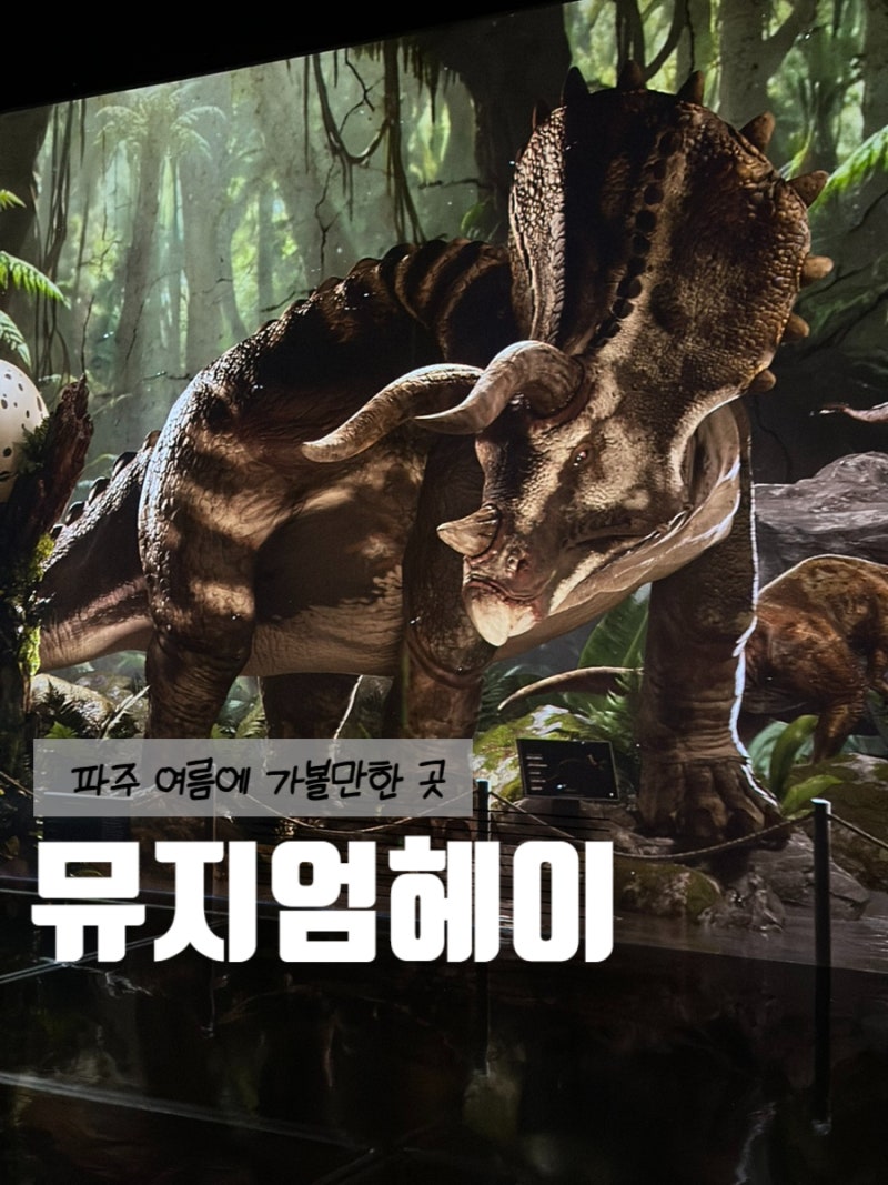 [파주 여름에 가볼 만한 곳] 뮤지엄헤이 할인 주차 인생 샷 아이와 함께 방문 후기