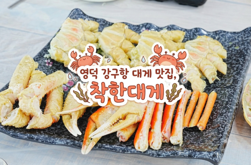 영덕대게맛집, 강구항 착한대게