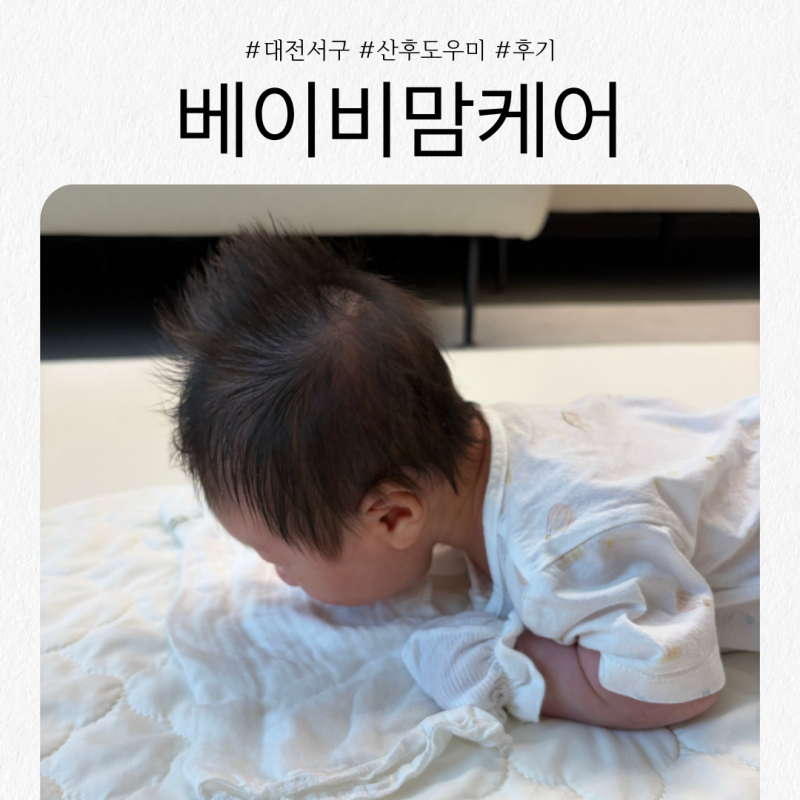 대전 서구 베이비맘케어 산후도우미 3주이용후기