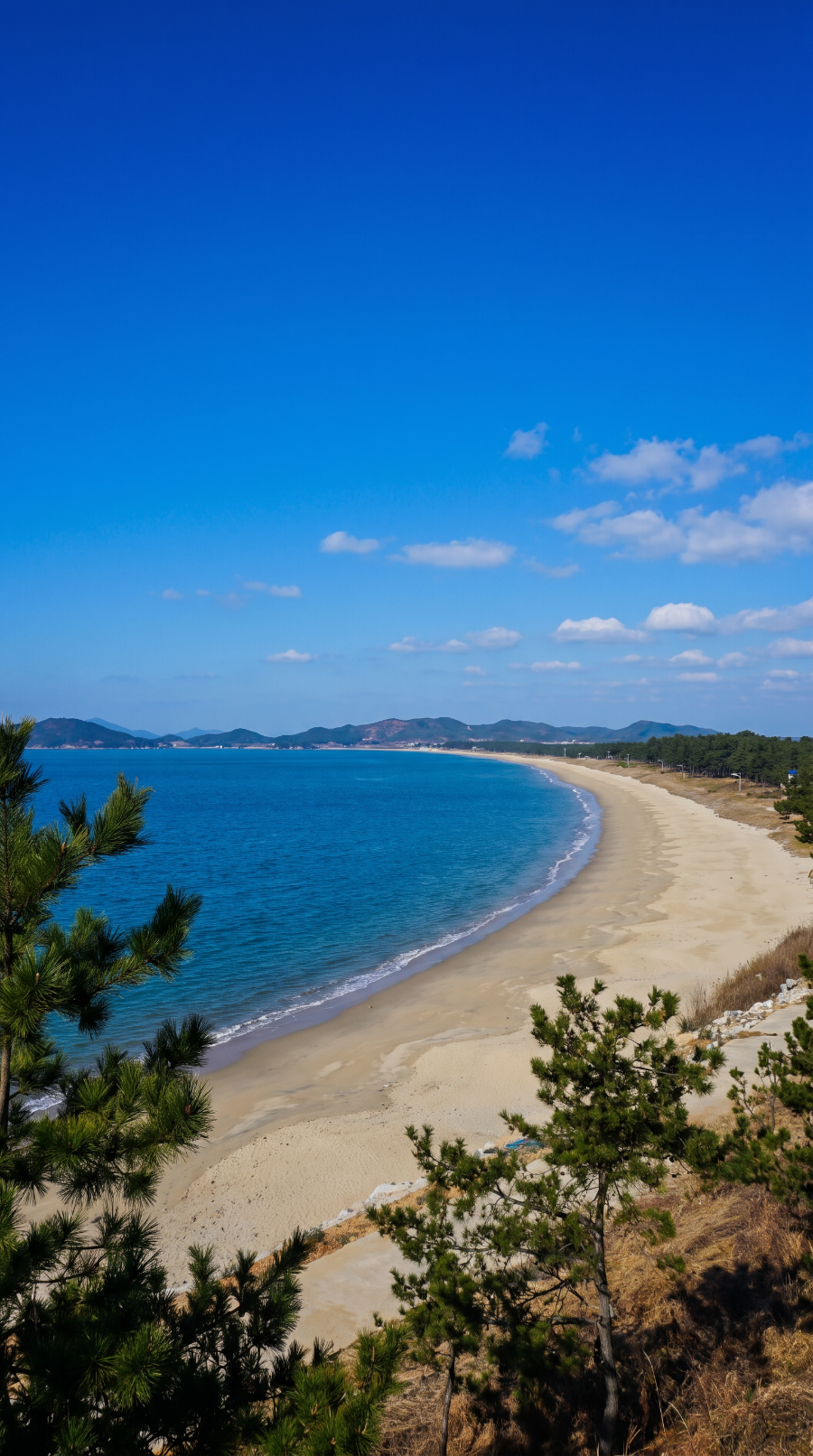 증도 사진 4