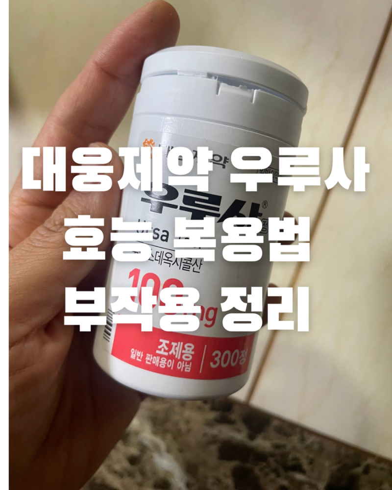 대웅제약 우루사 100mg 효능과 복용법 가격 쉽게 정리해봤어요
