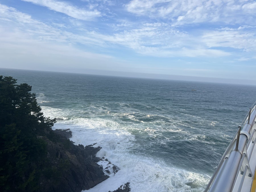 삼척해상스카이워크 사진 5
