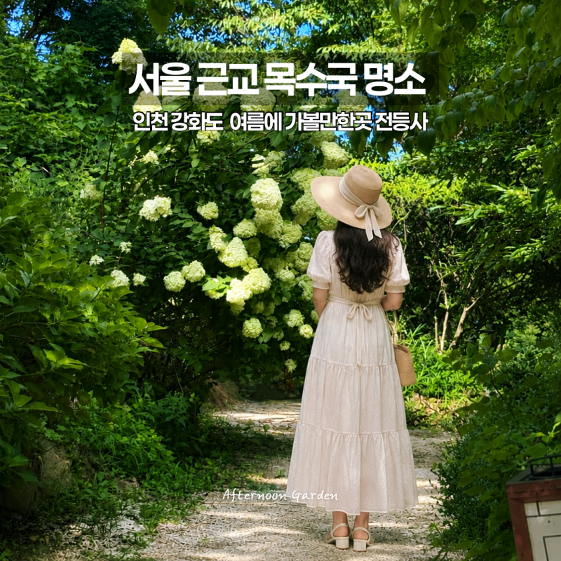 서울 근교 절 드라이브 가볼만한곳 추천 인천 강화도 사찰 전등사 목수국 명소