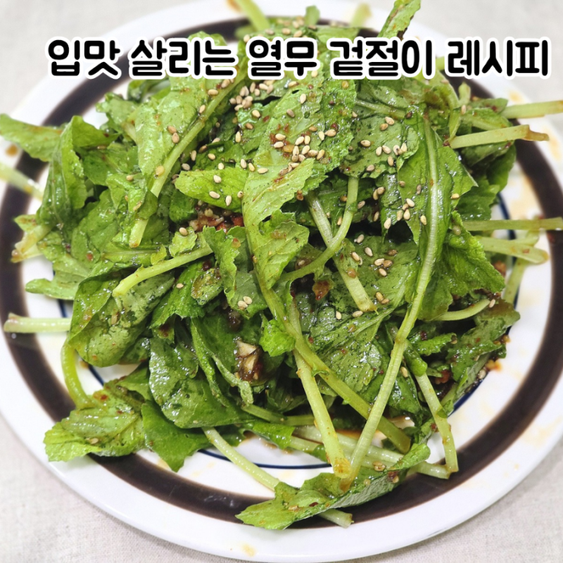 열무겉절이 레시피 여름 입맛 살리는 초간단 열무무침