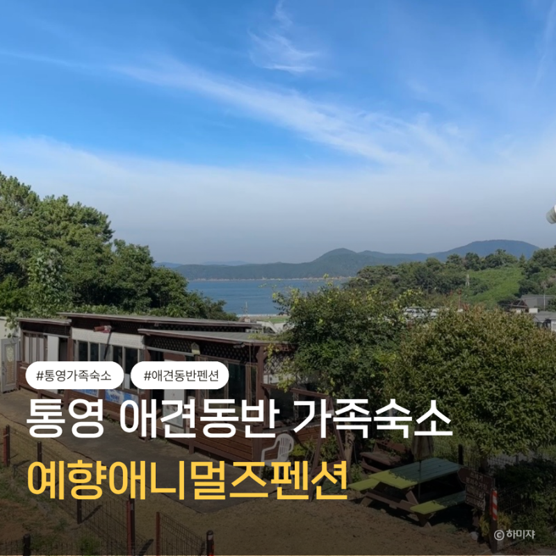통영 애견동반 숙소 예향애니멀즈 가족 펜션 추천