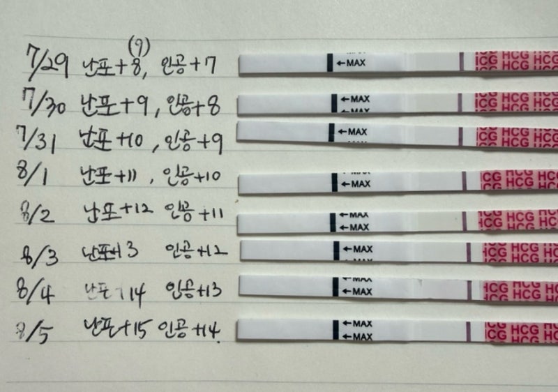 인공수정 3회차 임테기 변화 관찰, 배란 7일차부터 배란14일차까지, 증상