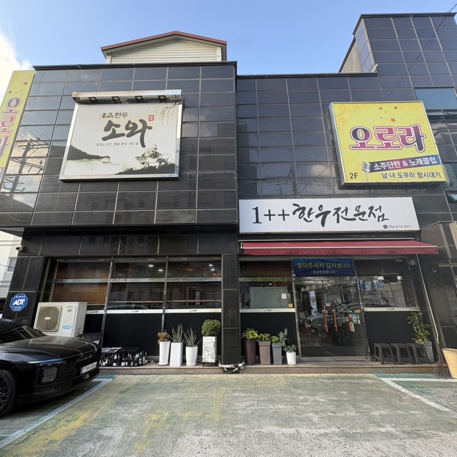 소와 사진 2