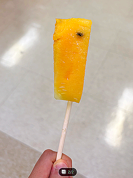 노란 과육이 신기했던 블랙망고수박 후기! 망고인 줄 알았는데 수박이었다!!